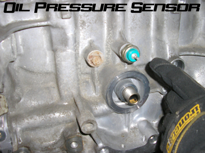 Oil pressure sensor leak honda #4