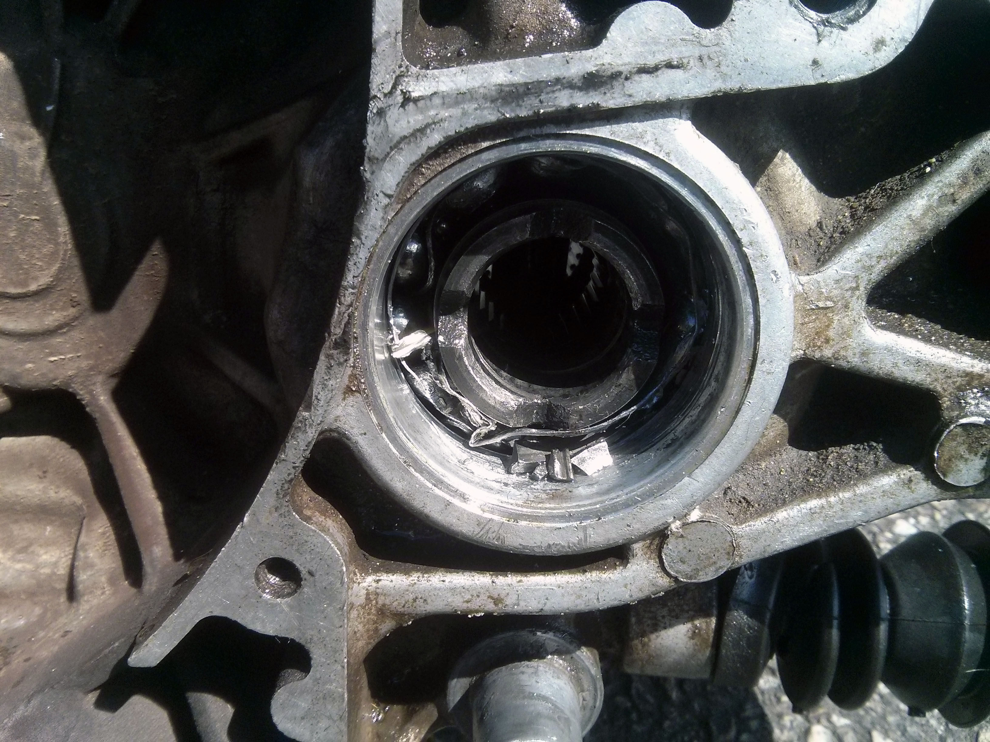 IMG_20150802_125604m